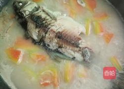鲫鱼木瓜汤的做法图解7