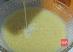 家乡木瓜炖新鲜七彩山鸡蛋的做法图解5