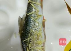 清蒸翘嘴鱼的做法图解3