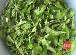 芝麻酱凉拌枸杞叶的做法图解2