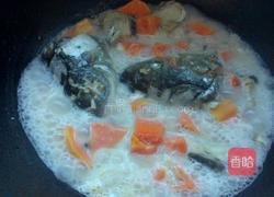 木瓜鱼头汤的做法图解4