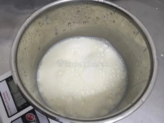 牛奶.酸奶牛也可以.