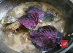 紫苏炖鱼的做法图解4