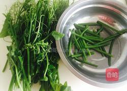 炒南瓜藤的做法图解1