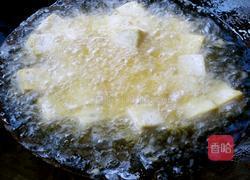 豆腐烧鲢鱼的做法图解5