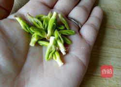 莲心茶的做法图解5