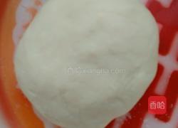 洋葱水饺的做法图解1