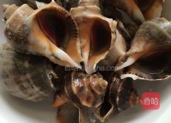 凉拌海螺的做法图解1