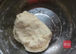 豆角肉饺子的做法图解1