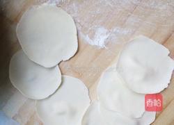 豆角肉饺子的做法图解6