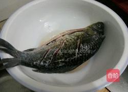 红烧红棕鱼的做法图解1