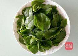 凉拌田七的做法图解2