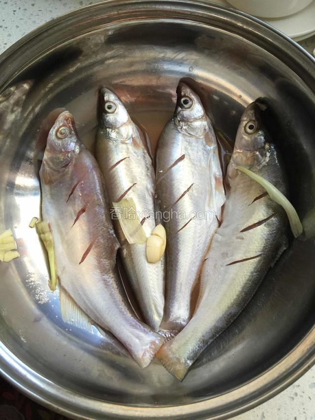 新鲜白鱼（又名翘嘴红鲌）去除鱼鳞、鳃和内脏清洗干净，用刀在白鱼身上划几道小口方便入味，将白鱼用料酒，大葱，大蒜，少许淀粉腌制20分钟以上。（大家可以再加点姜片腌制，我是家里没姜了）