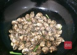 酱爆海螺的做法图解4