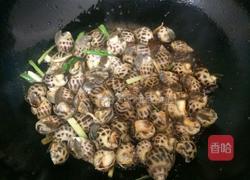 酱爆海螺的做法图解5