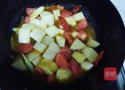 西红柿烧土豆的做法图解7