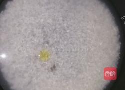 金枪鱼紫菜包饭的做法图解1