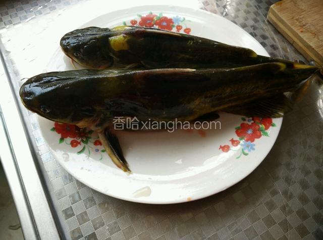 黄颡鱼去除内脏，清洗干净
