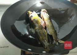 黄颡鱼炖豆腐的做法图解2