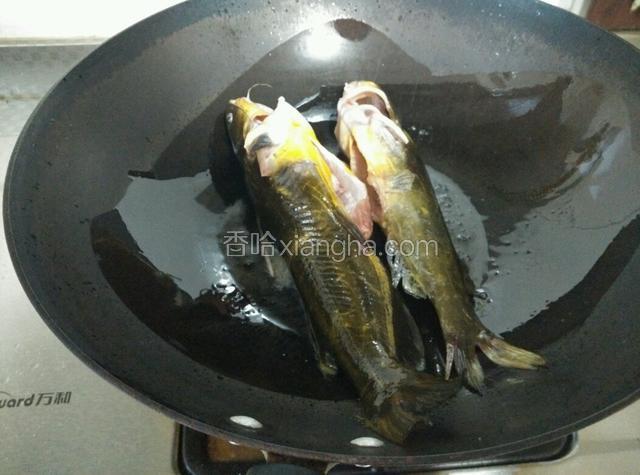 锅热倒油，少加点儿盐，小火把鱼两侧都煎一下