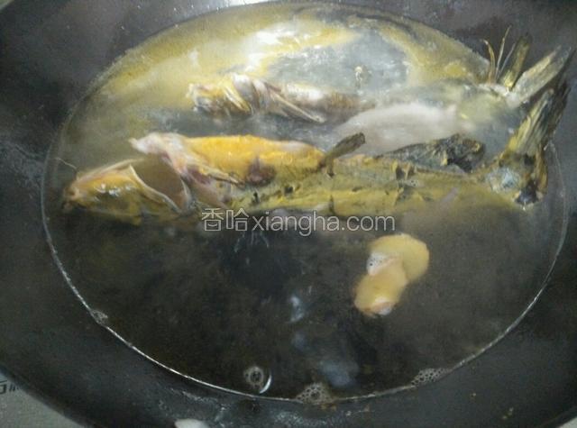 倒入开水，大火，姜片放入，煮5分钟左右