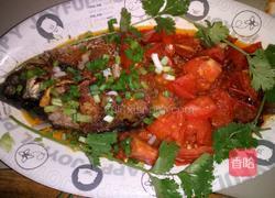 番茄红烧鱼的做法图解7