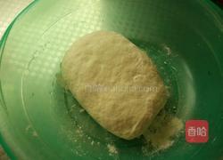 香菇猪肉胡萝卜饺子的做法图解4