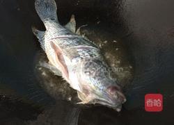 石斑鱼汤的做法图解4