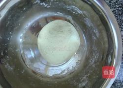 豆渣芝麻饼的做法图解1