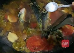 酸汤鱼的做法图解7