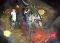 酸汤鱼的做法图解6