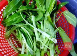 蒜炒空心菜的做法图解4