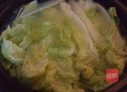 粉丝白菜煲的做法图解4
