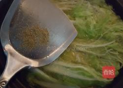 粉丝白菜煲的做法图解6