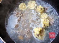 排骨玉米的做法图解5