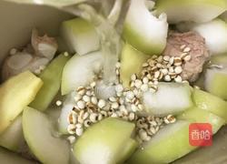 薏米排骨冬瓜汤的做法图解8