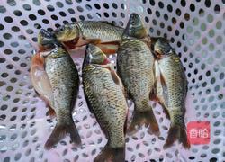 清炖野生小鲫鱼的做法图解1