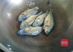 清炖野生小鲫鱼的做法图解3