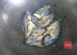 清炖野生小鲫鱼的做法图解4