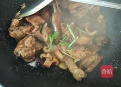 蘑菇烧鸡的做法图解7