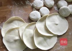 西红柿鸡蛋水饺的做法图解13