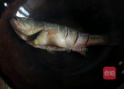 豆瓣酱烧鲈鱼的做法图解5
