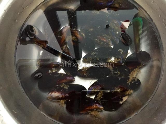 认真清洗淡菜的外壳