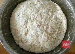 木耳芹菜包子的做法图解13