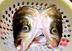 冬瓜鱼头汤的做法图解1