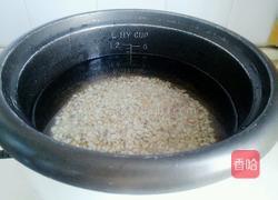 冬瓜薏仁汤的做法图解3