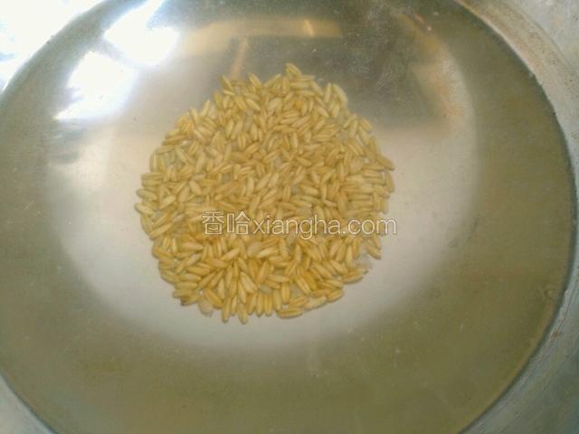 先煮麦仁，大火烧开然后慢火煮15分钟之后在加入小米一起煮。