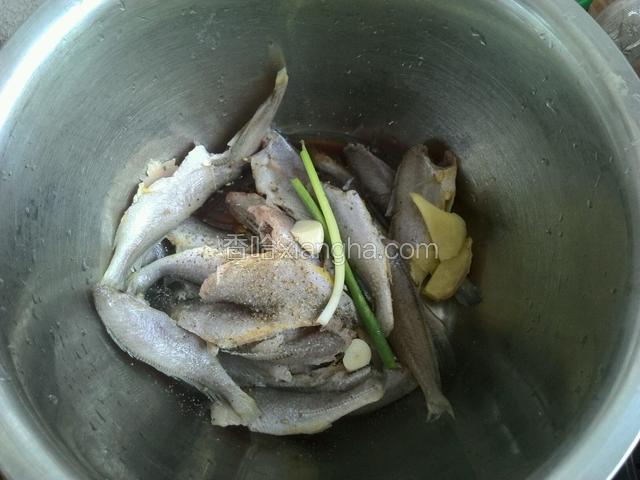 黄花鱼放入盆子，加入料酒，盐，五香粉，小葱，大蒜，姜片，生抽拌匀腌制30分钟。
