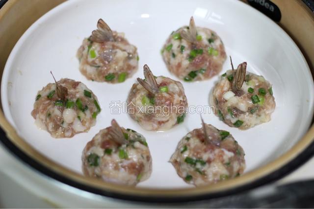 取适量肉末，把虾仁包在肉末里面，放锅里蒸。水先烧开，然后蒸10分钟不到的样子，就可以了