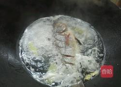 清汤鲫鱼的做法图解5